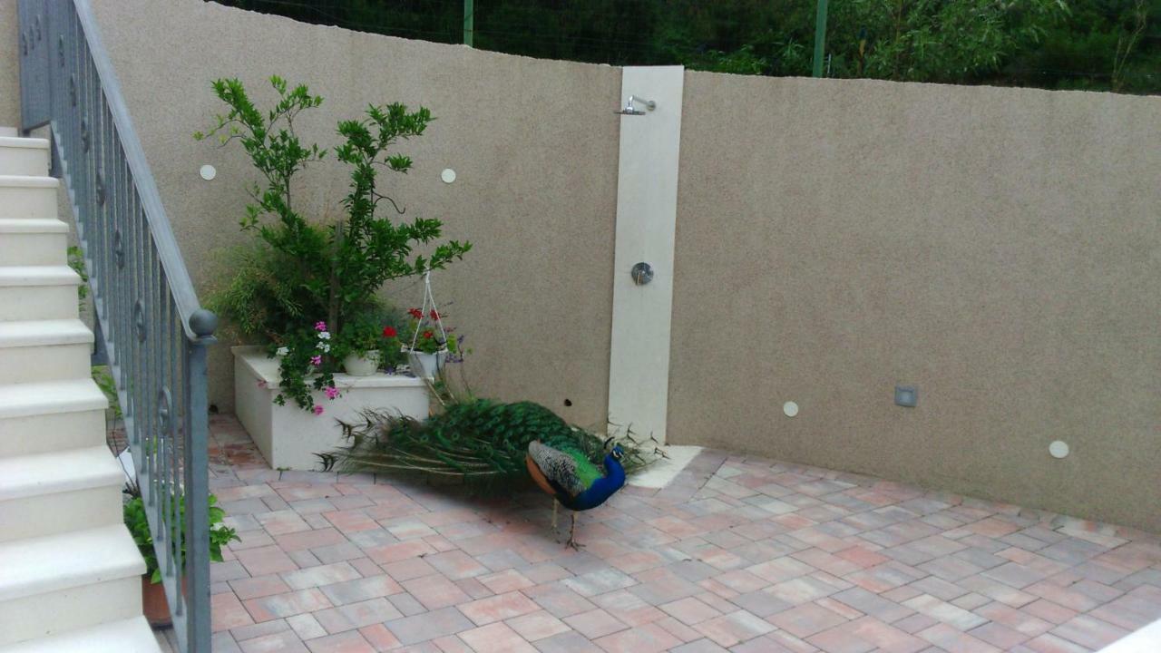 Anka Strman Apartment Makarska Ngoại thất bức ảnh